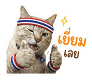 842701604