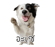 842702014