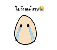 842702257