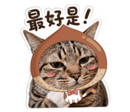 842703892