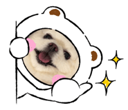 842703950