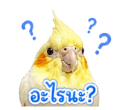 842704942