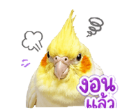 842704947
