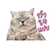 842704971