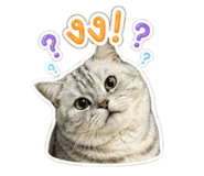 842704987