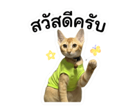 842705121