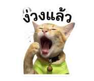842705122