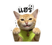 842705123
