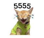 842705127
