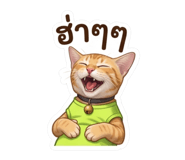 842705139