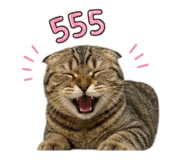 842705150