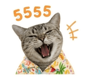 842705189