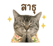 842705190