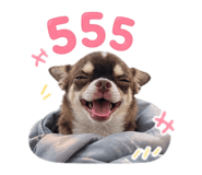 842705778