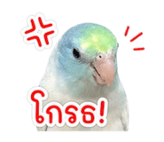 842706658