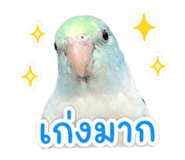 842706659