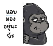 842707290