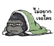 842707293