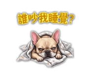 842708022