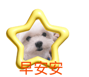 842708638