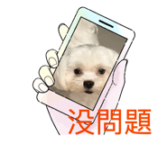 842708646