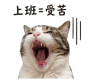842709337