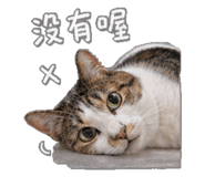 842709515