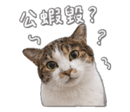 842709522