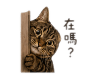 842709961