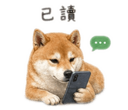 842710067