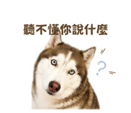 842711007