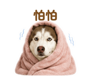 842711016