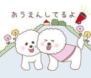 842712553