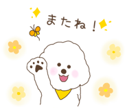 842712581
