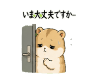 842713234