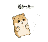 842713241