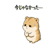 842713243