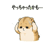 842713244