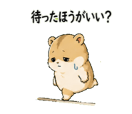 842713247