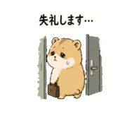842713253