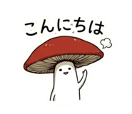 842713446
