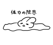 842713514