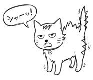842713551