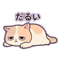 842713574