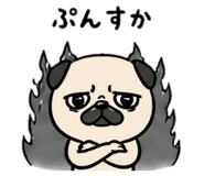 842713883
