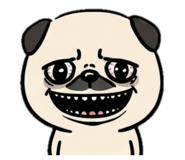 842713897