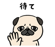 842713909