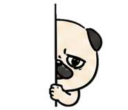 842713916