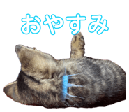 842714341