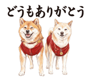 842715321